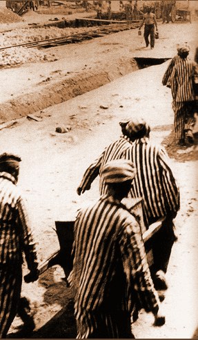 Giornata della memoria