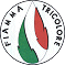 Simbolo della lista MOVIMENTO SOCIALE FIAMMA TRICOLORE - Fiamma Tricolore