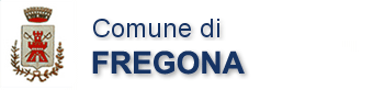 Fregona